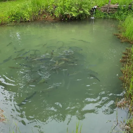 Δωμάτια σε οικογενειακή κατοικία U Juroszka