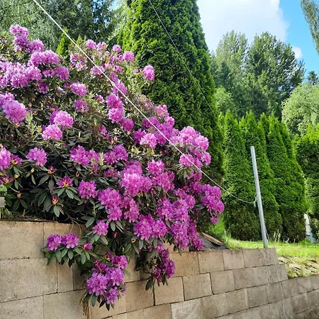 U Juroszka Homestay szállás *