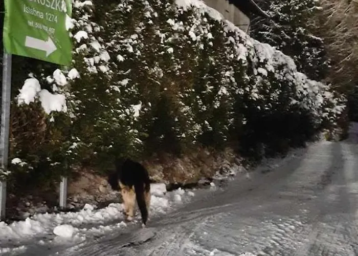 Ubytování v soukromí U Juroszka