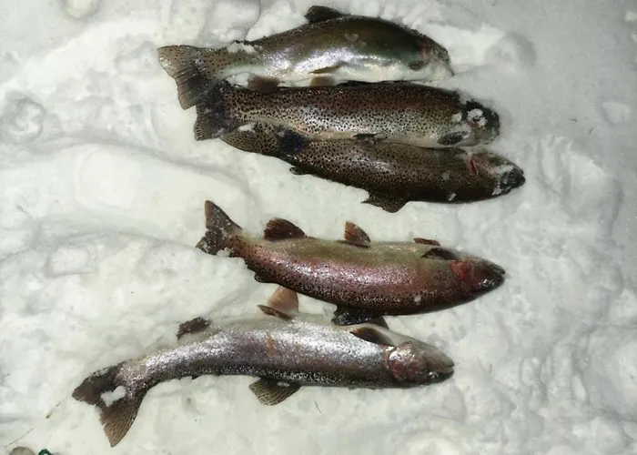 Ubytování v soukromí U Juroszka