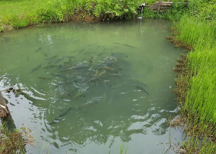 Δωμάτια σε οικογενειακή κατοικία U Juroszka